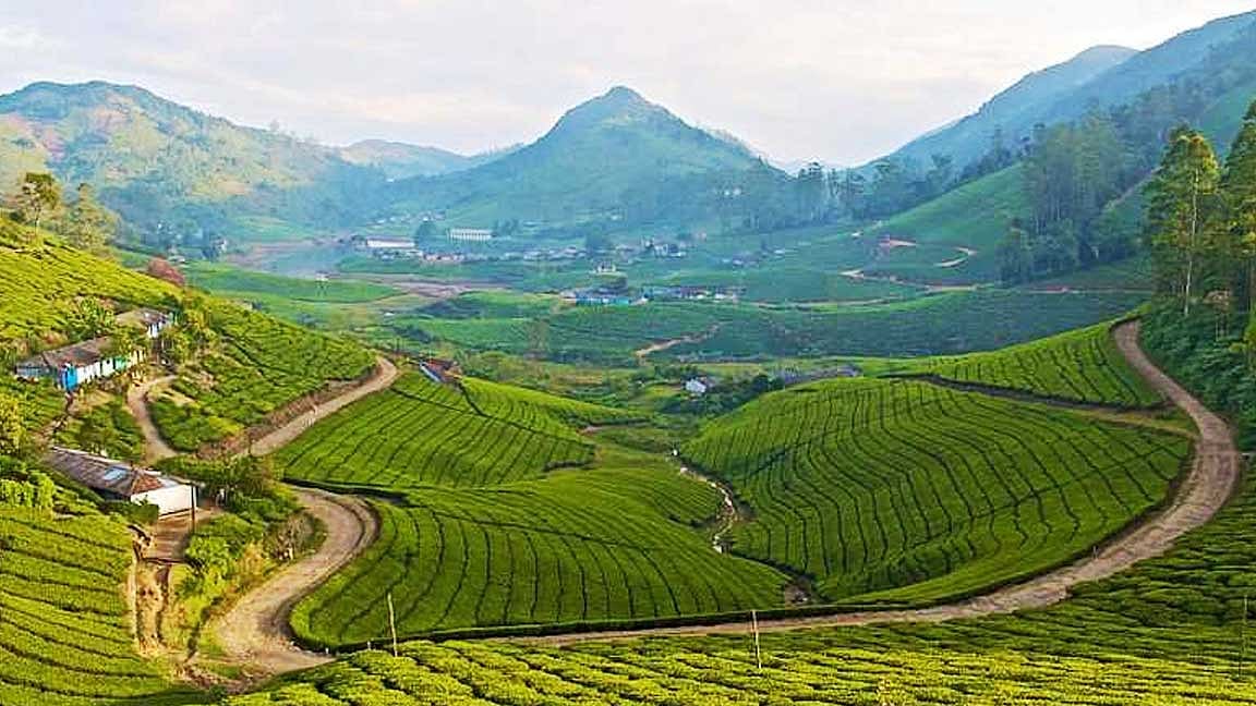 தமிழ்நாட்டில் சுற்றுலா செல்ல சிறந்த சில மலை வாசஸ்தலங்கள்!