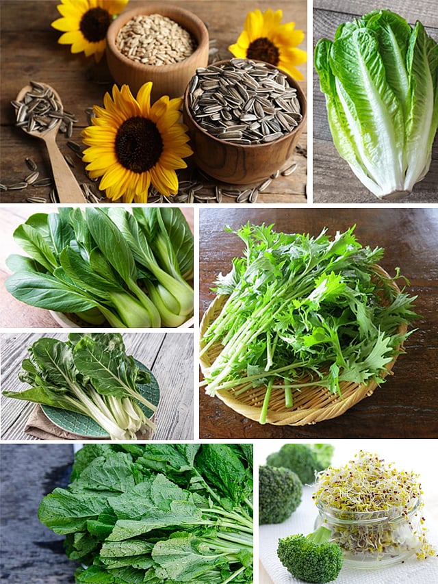 'மிசுனா'ன்னா என்ன? இதெல்லாம் சாப்பிட்டா ரொம்ப நல்லதாமே?!