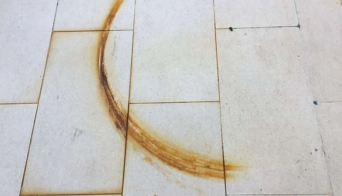 வீட்டு டைல்ஸ் அழுக்கா இருக்கா.. புதிது போல மாற்ற இந்த ட்ரிக்கை யூஸ் பண்ணுங்க!