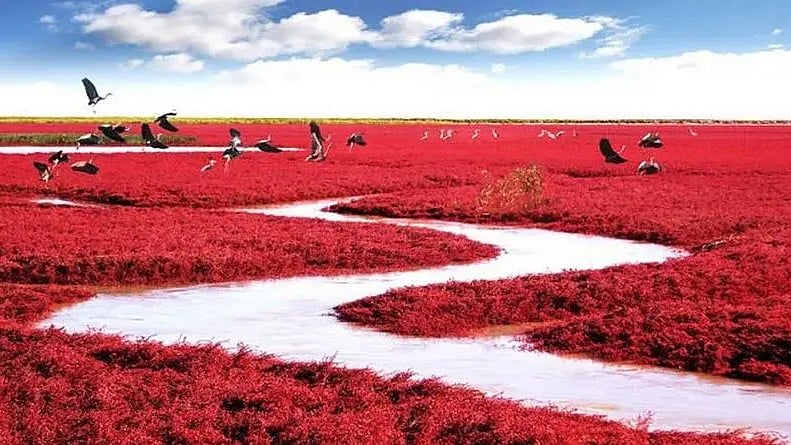 பார்ப்பதற்கு கற்பனைப் போலவே இருக்கும் இந்தியாவின் 6 இடங்கள்!