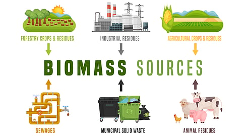 Biomass sustainable energy and fuel