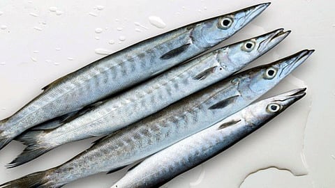Fish Farms