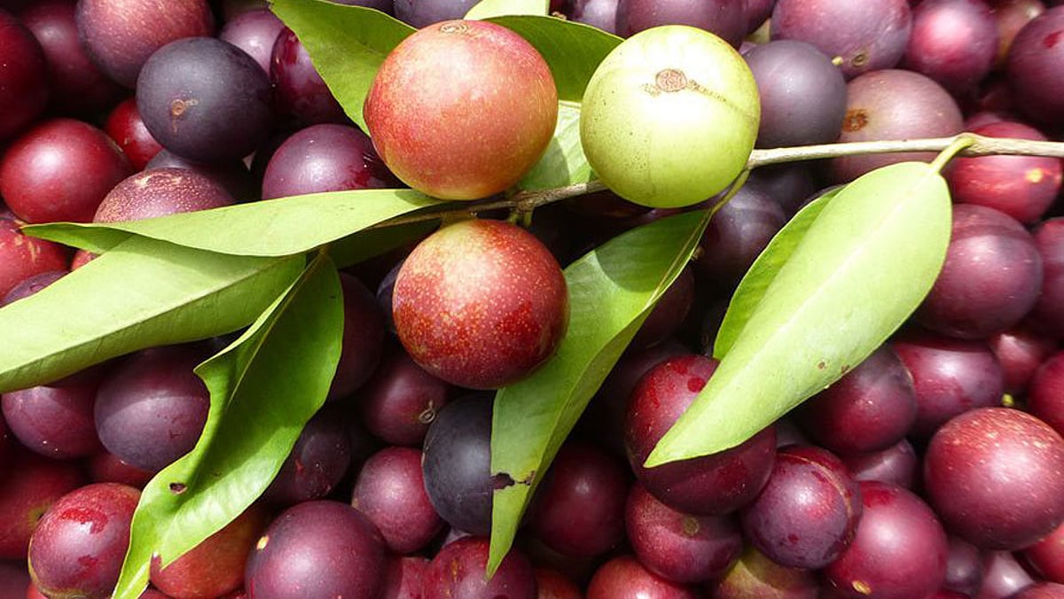 Daftar 10 buah kering teratas! Daftar 10 buah kering teratas! Daftar 10 buah kering teratas! Daftar 10 buah kering teratas!