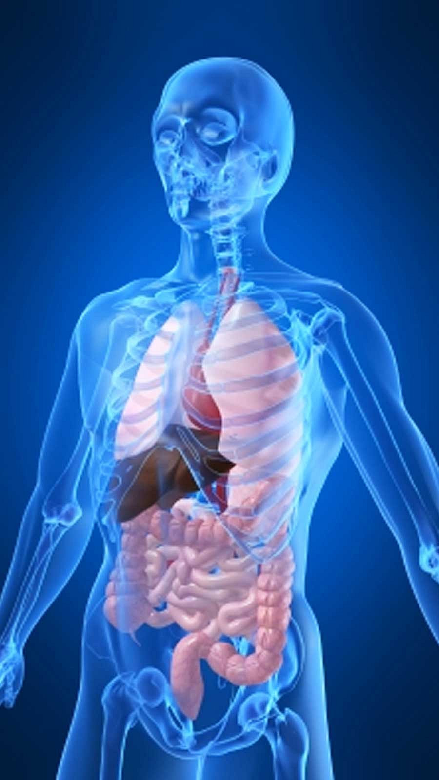 பல சுவாரஸ்யங்களை சுமந்து நிற்கும் நம் மனித உடல்! பலராலும் அறியப்படாத 12 தகவல்கள்!