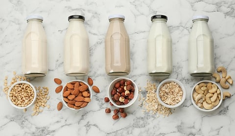 7 Types of Plant Milks that Nourish the Body