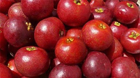 Kokum Fruit