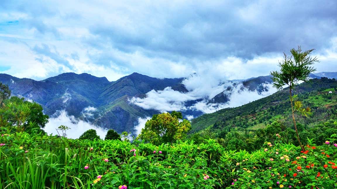 கோத்தகிரி போறீங்களா? அங்கு பார்க்க வேண்டிய அருமையான இடங்கள் இதோ!