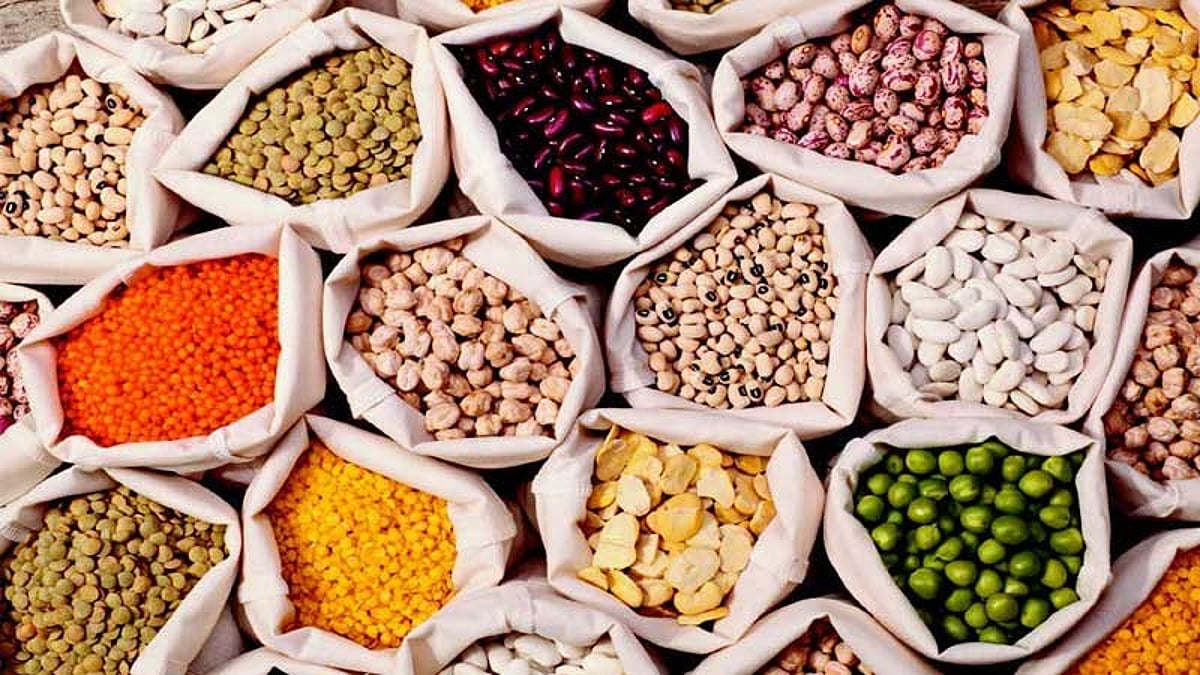 Tahukah Anda manfaat kesehatan dari lentil dan kacang-kacangan? Tahukah Anda manfaat kesehatan dari lentil dan kacang-kacangan? Tahukah Anda manfaat kesehatan dari lentil dan kacang-kacangan? Tahukah Anda manfaat kesehatan dari lentil dan kacang-kacangan?