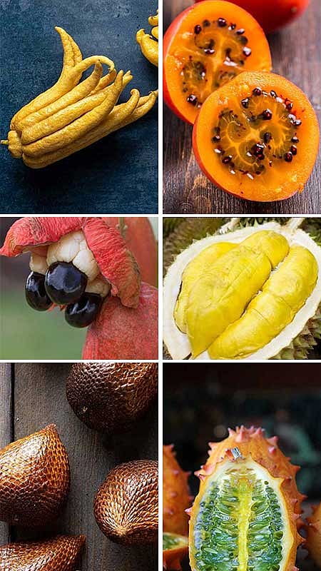 உலகத்தில் உள்ள விசித்திரமான பழங்கள்!