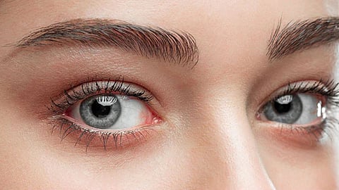 eye