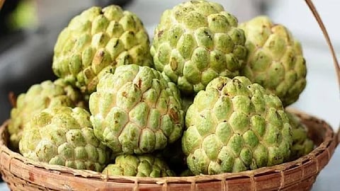 சீதாப்பழம்