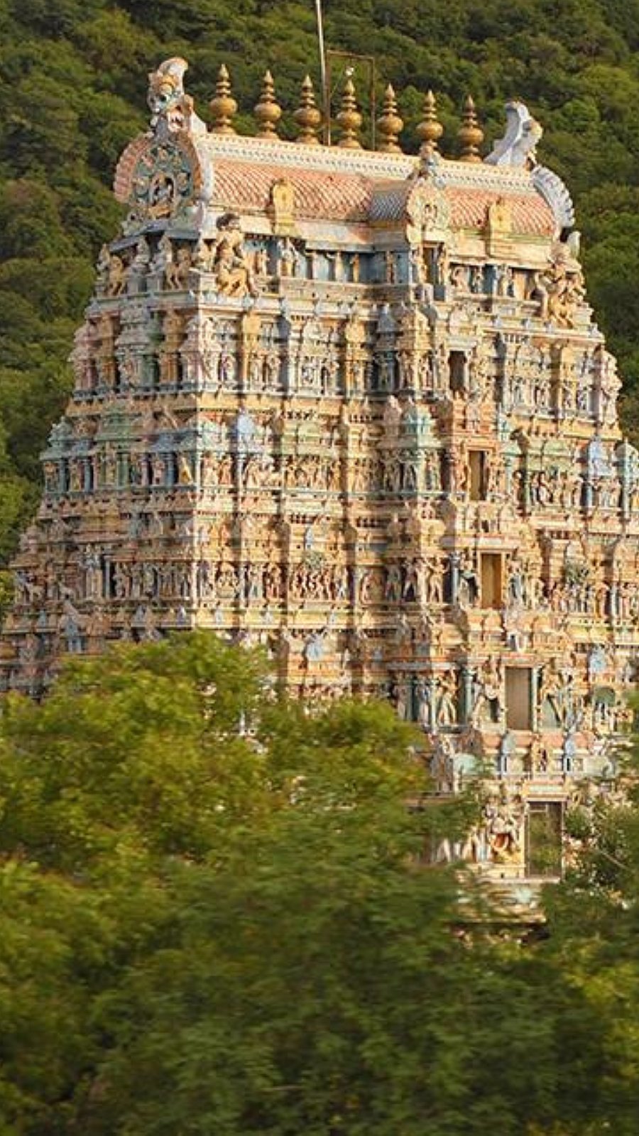 கோவில்களில் வித்தியாசமான காணிக்கைகள்! 