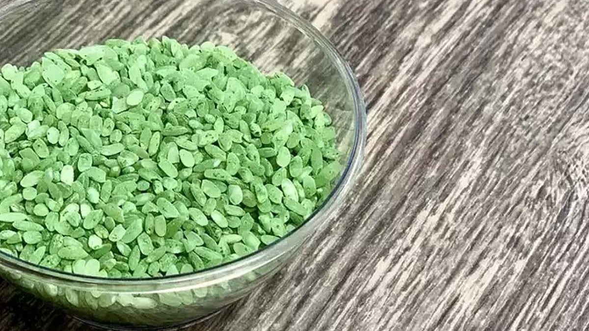 Birth Control Rice இந்த ஒரு அரிசி போதும்..உடலில் உள்ள பிரச்சனைகளுக்கு குட் பை சொல்லிடுங்க ...