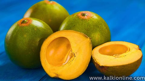 Lucuma fruit