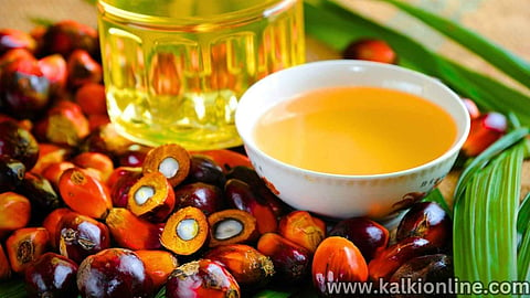 palm oil