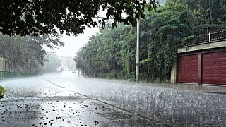 Rain