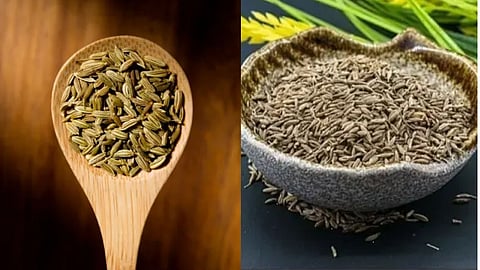 Fennel Vs Cumin