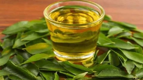 Benefits of curry leaves water on an empty stomach