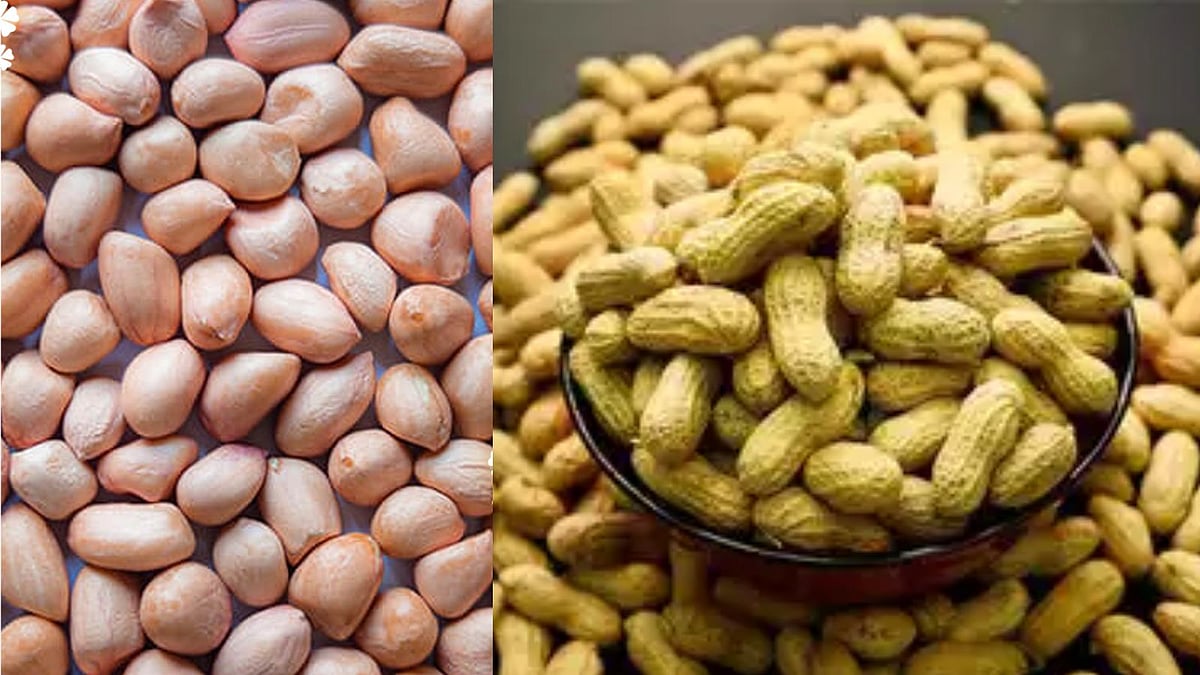 வேர்க்கடலை சாப்பிட்ட பிறகு தண்ணீர் குடிக்கக்கூடாதா?