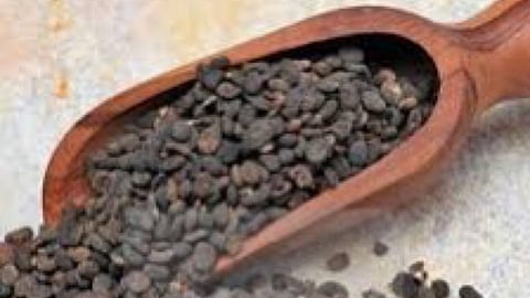 Kaarbogarisi which cures skin problems