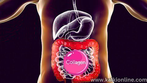 Collagen that protects the intestines.
