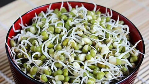 Health benefits of sprouted grains