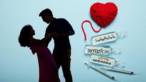 Love Hormones