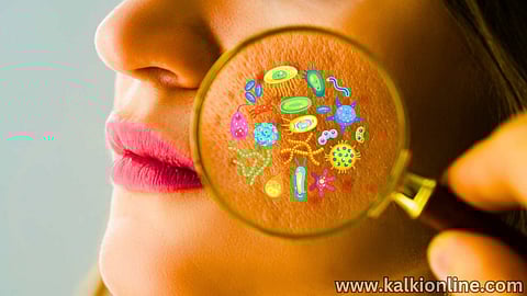 Skin Protecting Bacteria