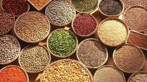Healthy small grain foods
