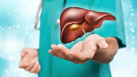 Foods that repair liver damage