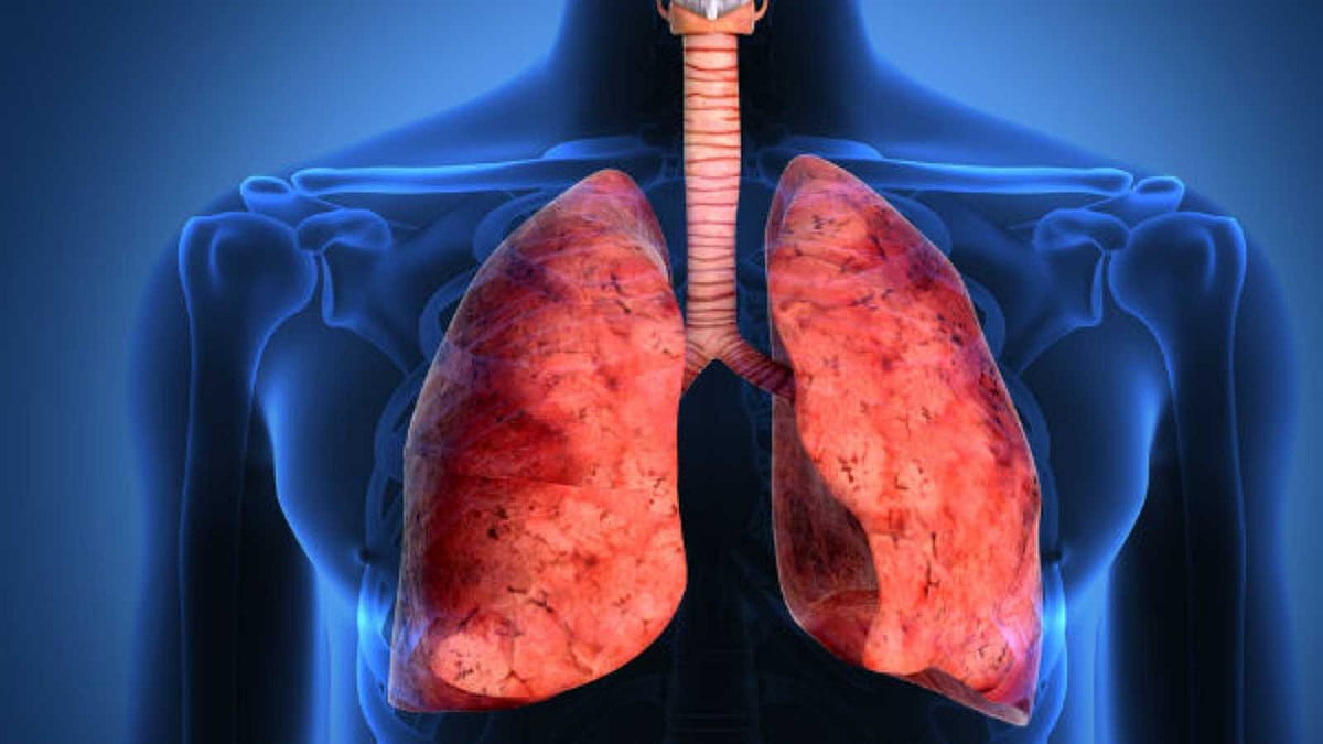 மழை, குளிர்காலத்தில் சுவாசப்பாதை ஆரோக்கியம் காக்கும் இயற்கை உணவுகள்!