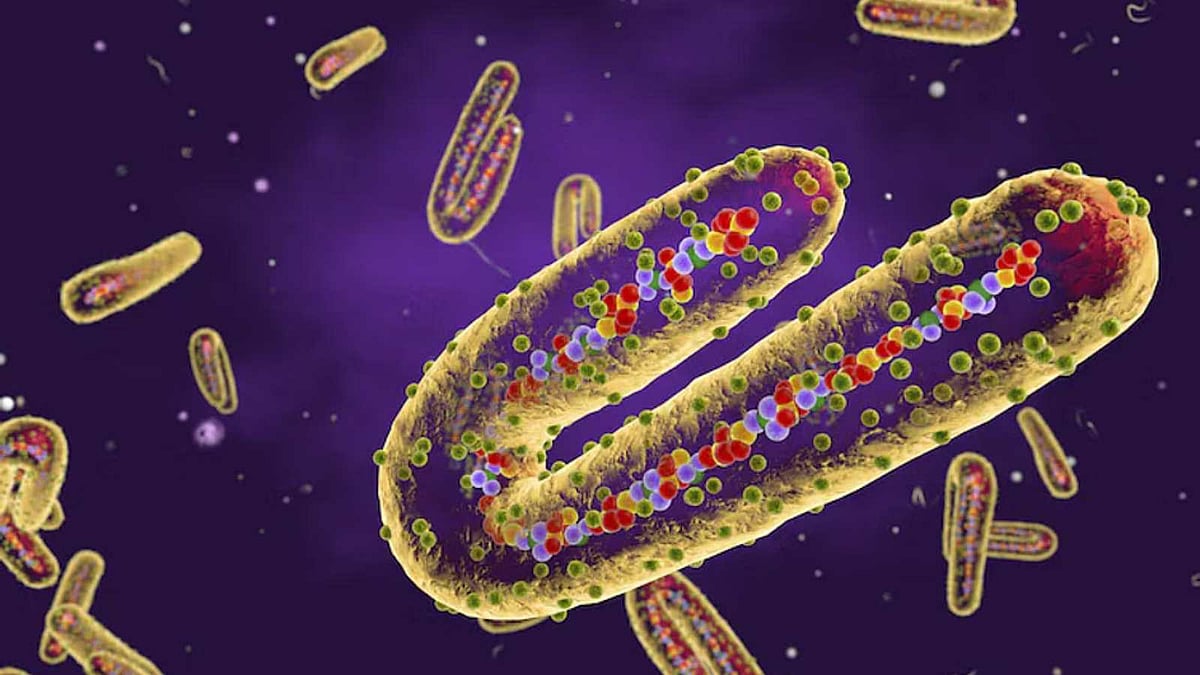 ரத்தப் போக்கு கண் வைரஸ் – ருவாண்டாவில் 15 பேர் மரணம்!
