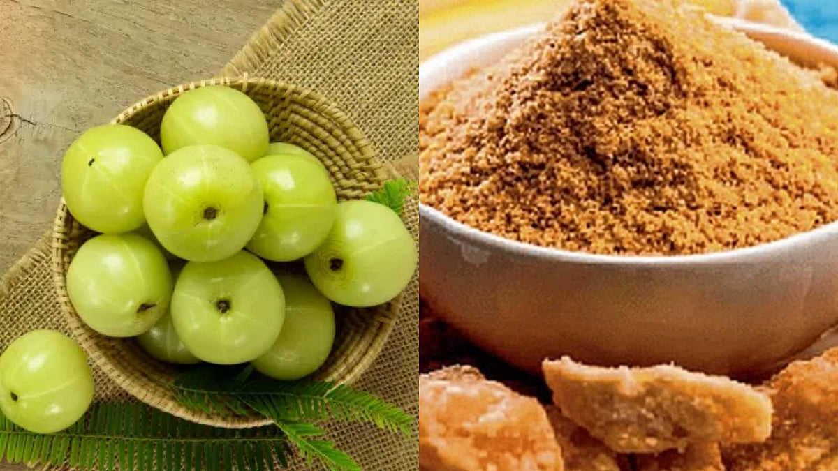 முழுநெல்லியை வெல்லத்துடன் சேர்த்து உண்பதால் கிடைக்கும் ஆரோக்கிய நன்மைகள்!