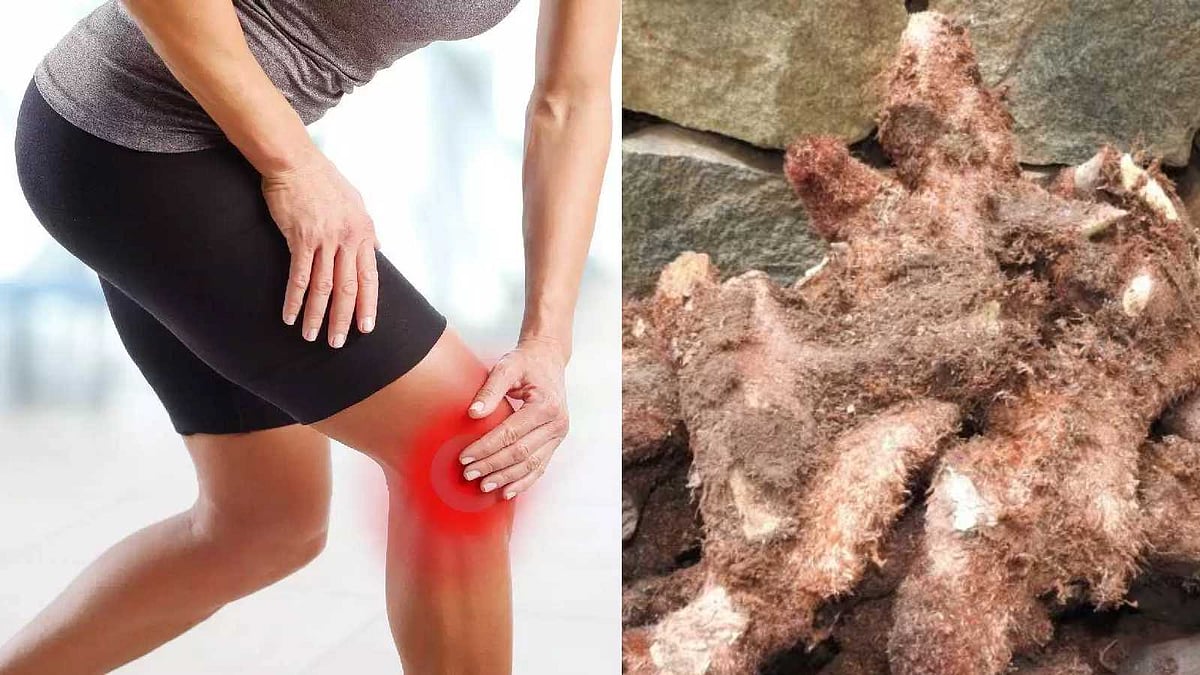 மூட்டு வலியால் முடங்கியோரை எழுந்து ஓட வைக்கும் முடவாட்டுக்கிழங்கு!