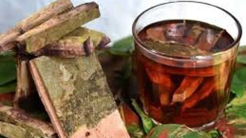 Health benefits of Arjuna bark