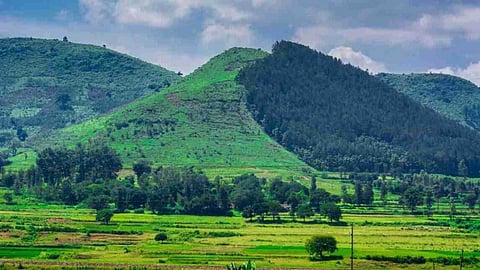 International Mountain Day