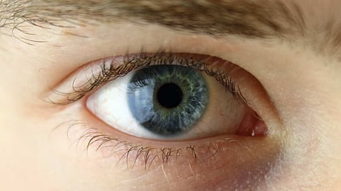 Eye Tips