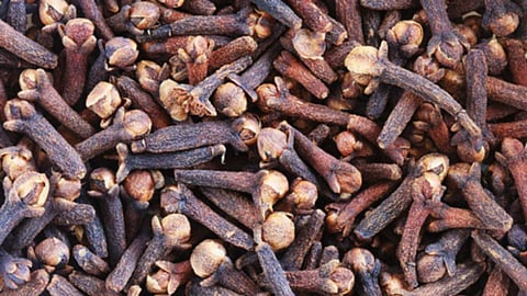 Pros and cons of cloves