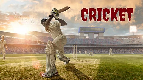 Cricket