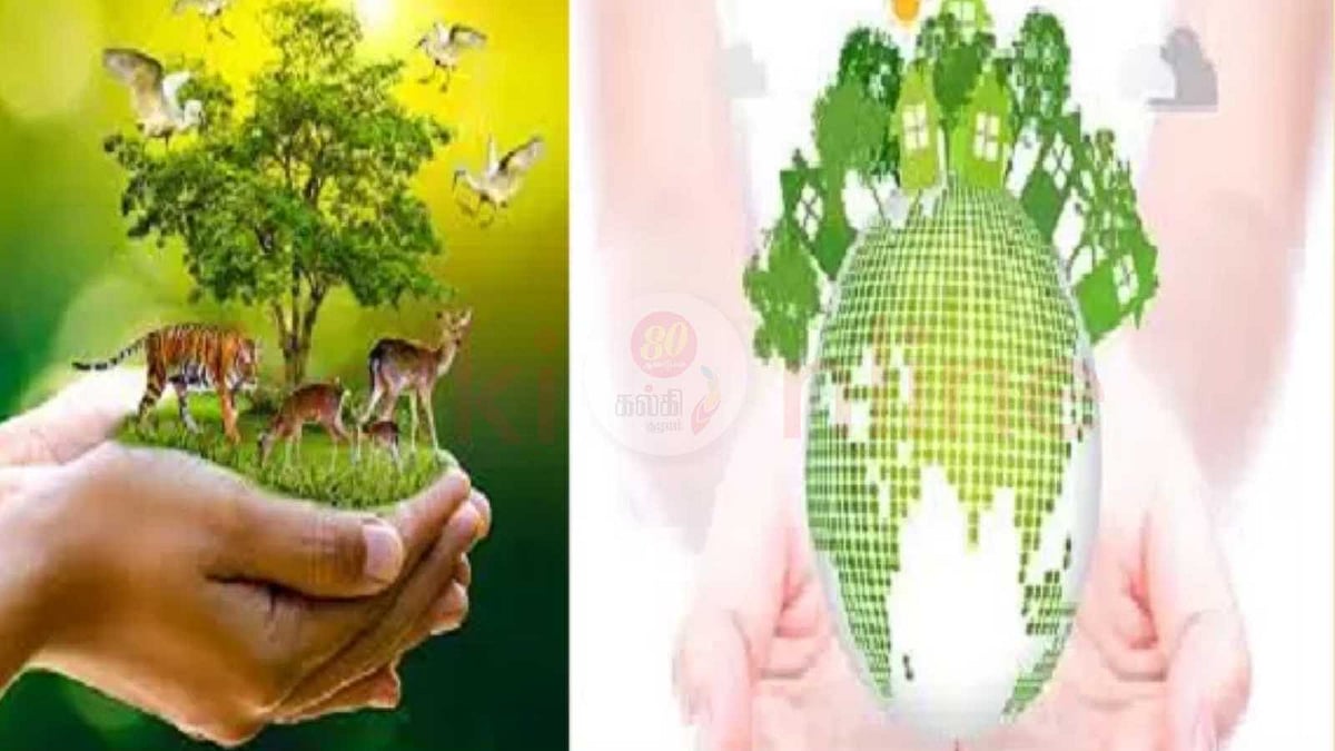 எரிசக்தி பாதுகாப்பில் தனி நபர்களின் பங்கு!