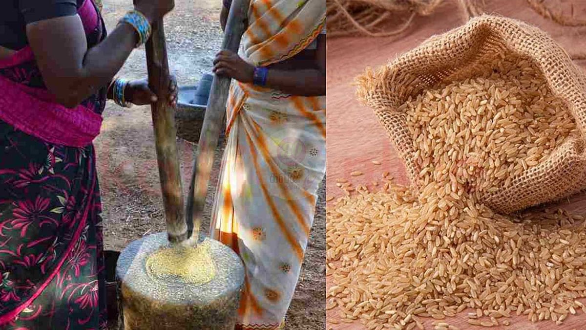கைக்குத்தல் அரிசியில் இருக்கும் ஊட்டச்சத்துக்களும் பயன்களும்!