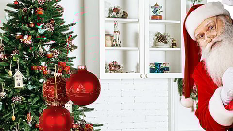 Interesting facts about the Christmas tree!