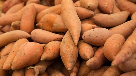 Sweet potatoes