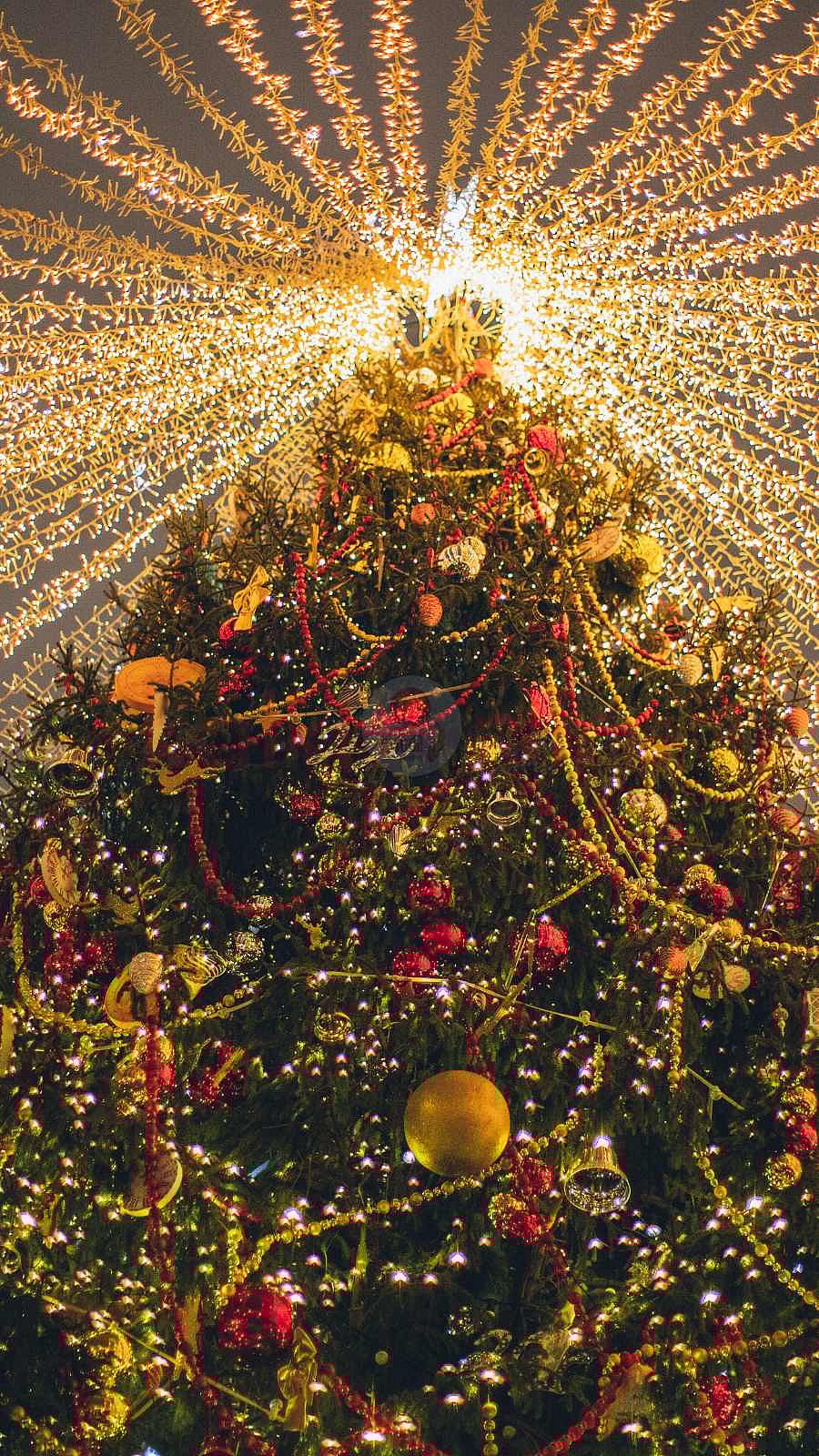 கிறிஸ்துமஸ் பற்றிய அரிய தகவல்கள்!