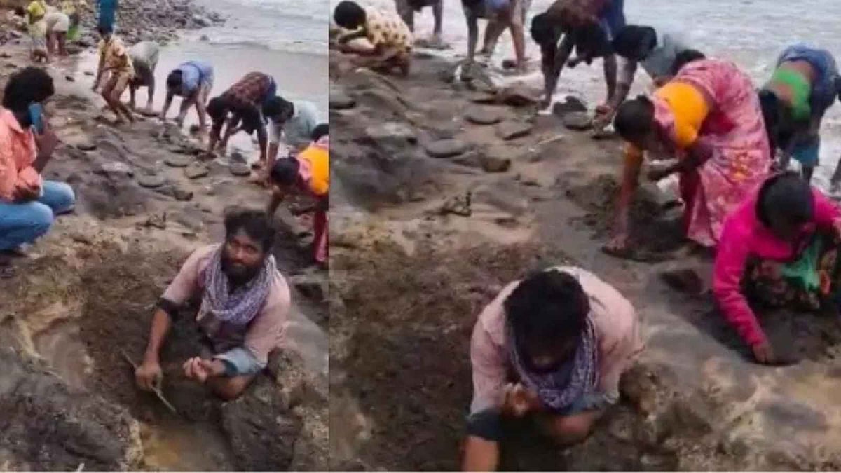 புயலால் கிடைக்கும் தங்கம்… மகிழ்ச்சியின் உச்சத்தில் ஆந்திரா மக்கள்!