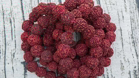 Benefits of wearing Rudraksha