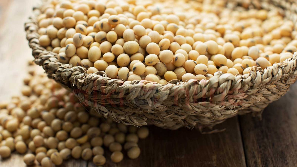 சிறந்த புரதச்சத்தின் கருவூலம் சோயா!