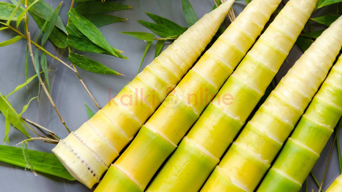 மூங்கில் குருத்து கூட்டு செய்யலாம் வாங்க!