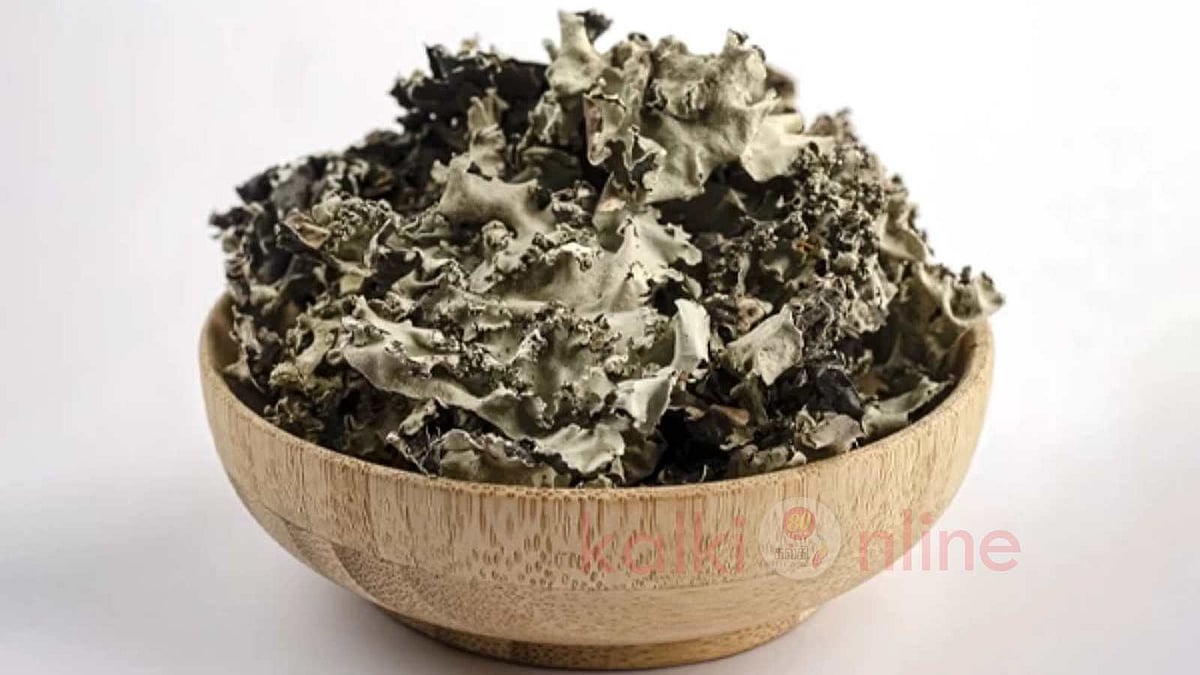 கல்பாசியின் 7 ஆரோக்கிய நன்மைகள்!