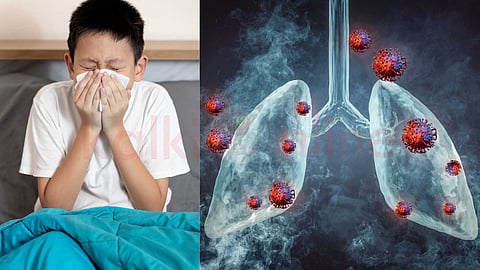Foods to eat and avoid to avoid lung mucus